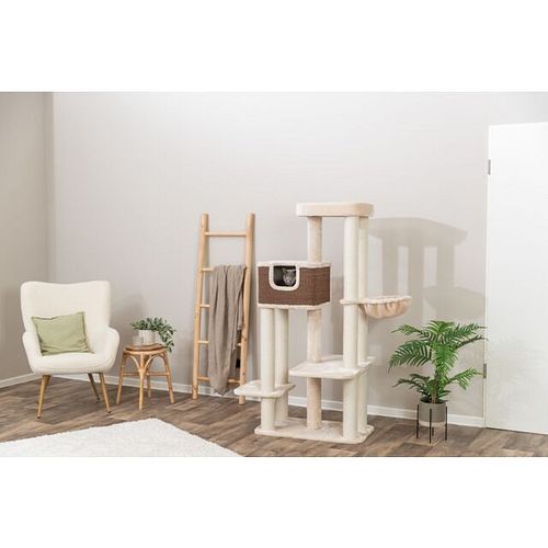 TRIXIE Kratzbaum Bertholo, 165 cm, creme/dunkelbraun