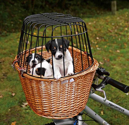 TRIXIE Front-Fahrradkorb, 44 × 48 × 33 cm, natur