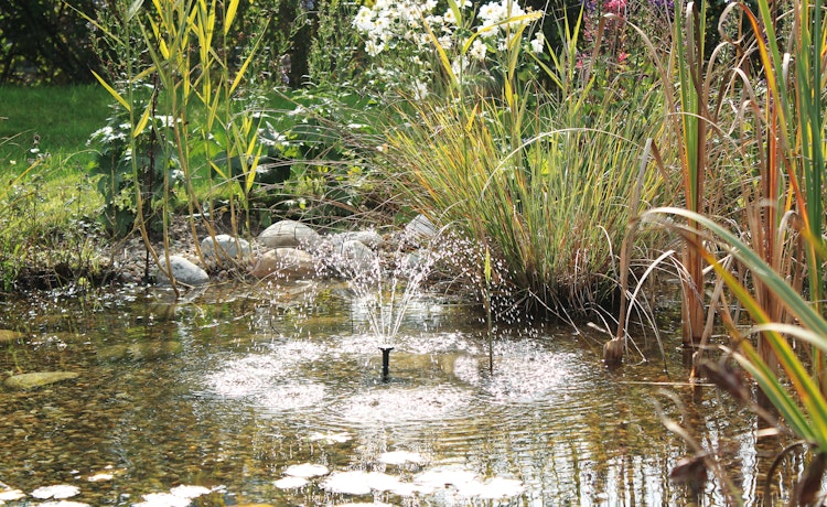 Pontec Solar-Wasserspielset PondoSolar 150