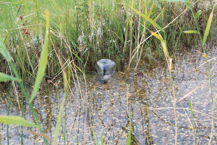 Pontec Solar- Wasserspielpumpe PondoSolar 600 Control