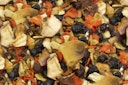 Vorschaubild JR FARM Chinchilla-Fruchtsalat 125g Kleintiersnack