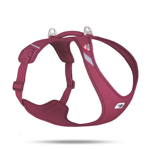 Curli All New Belka Comfort Ruby