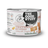 Truthahn mir Kürbis Varianten Bild