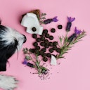 Vorschaubild Tierliebhaber Z-Snack