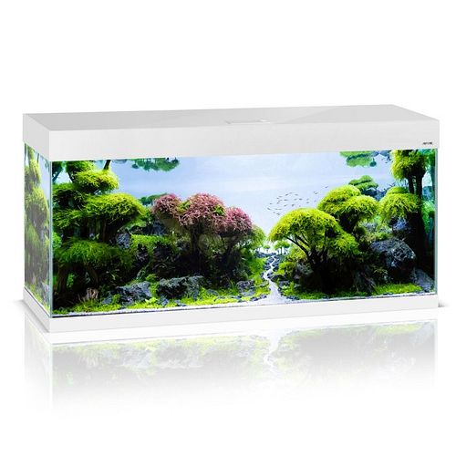 Aquael Aquarium OPTISET 240 weiß 2.0