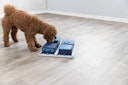 Vorschaubild TRIXIE Dog Activity Poker Box Hundespielzeug