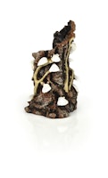 biOrb Muschelbaumstumpf Ornament weiß (46146)