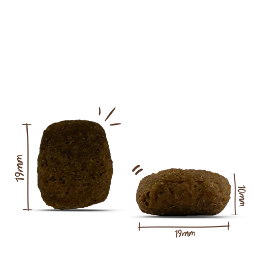 Bosch MENUE Adultt Rind und Innereien 1kg 