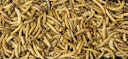 Vorschaubild JR FARM Mehlwürmer 70g Kleintiersnack