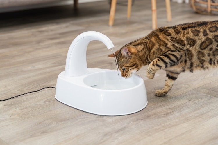 TRIXIE Katzentrinkbrunnen Curved Stream