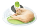 Vorschaubild catit Senses 2.0 Wellness Center Katzenspielzeug