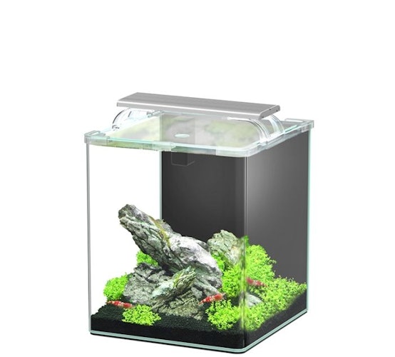 Aquatlantis Kubus Curve 20L LED - Essential