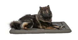 TRIXIE Reisedecke Samoa Classic, 130 × 80 cm, olivgrün