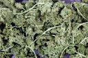 Vorschaubild JR FARM Petersilien-Salat 50g Nahrungsergänzung für Kleintiere