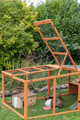 Freilaufgehege XL m. Abdeckung, Holz, 233 × 79 × 116 cm, braun