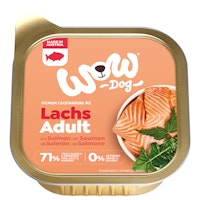Lachs mit Tomate Varianten Bild