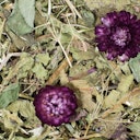 Vorschaubild JR FARM Grainless Plus 100g Kleintiersnack