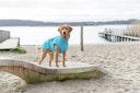 Vorschaubild TRIXIE Regenmantel Vimy türkis HW22 Hundebekleidung