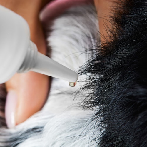 Tierliebhaber Z-Spot