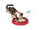 Vorschaubild catit Play 3-in-1 Ballspielzeug