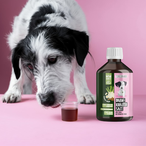 Tierliebhaber Darmkräuter Saft