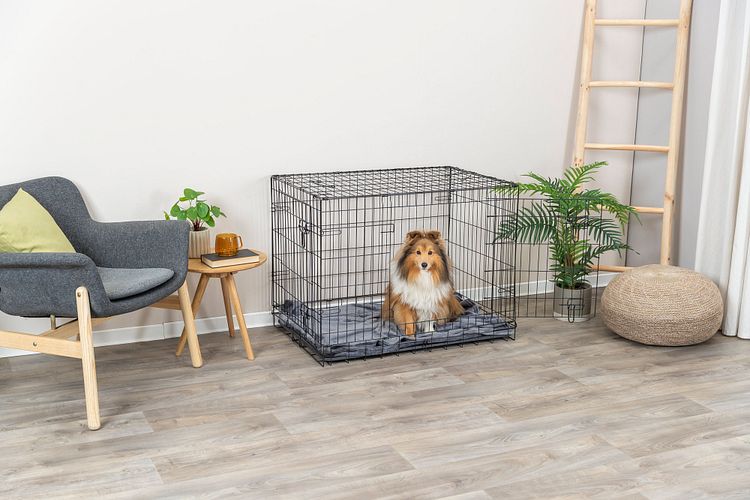 TRIXIE Hundebox Home, schwarz