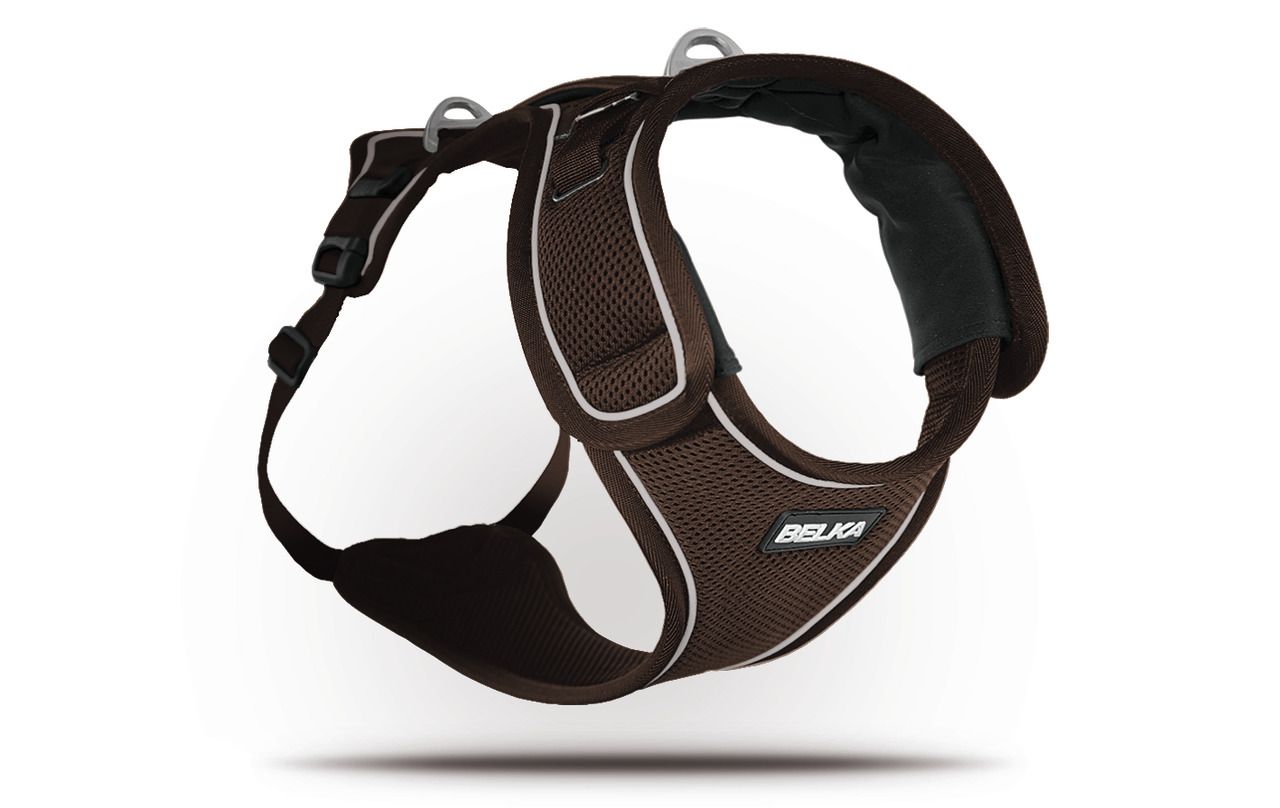 curli Belka Harness braun Hundegeschirr