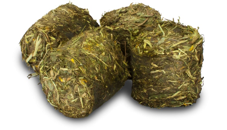 JR FARM Grainless Health Vital-Blocks 300g Kleintiersnack