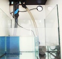 Vorschaubild AQUA MEDIC Xenia Meerwasser-Aquarium mit Unterschrankfiltersystem
