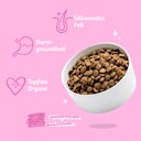 Vorschaubild Edgard&Cooper Crunchy Rote Bete und Kübis Hundetrockenfutter