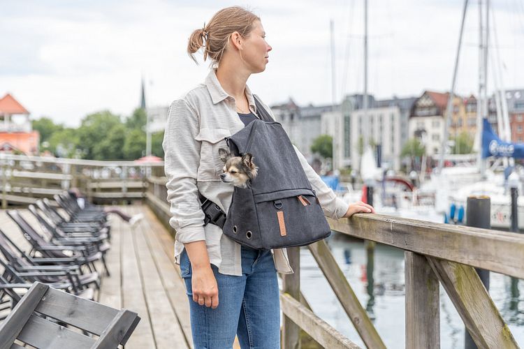 TRIXIE BE NORDIC Rucksack Bjorn, 35 × 40 × 20 cm, schwarz