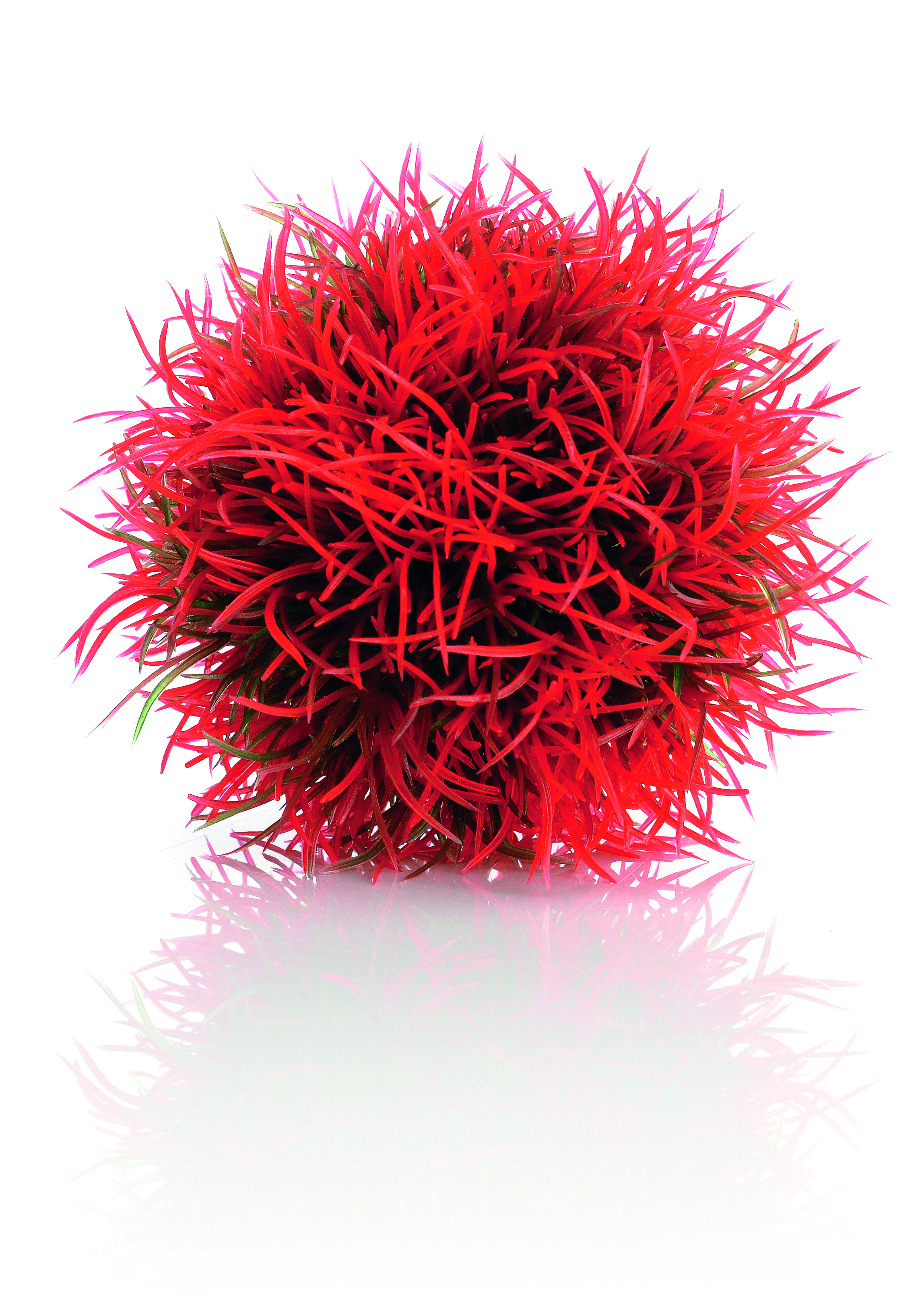 biOrb Gewächsball rot (46063)