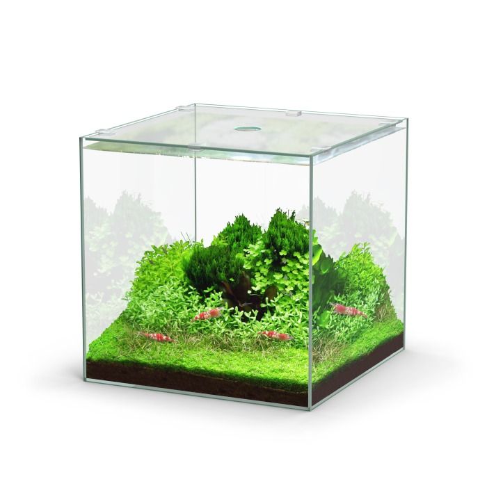 Aquatlantis Kubus 22 L Glasbecken