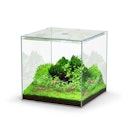 Vorschaubild Aquatlantis Kubus 22 L Glasbecken