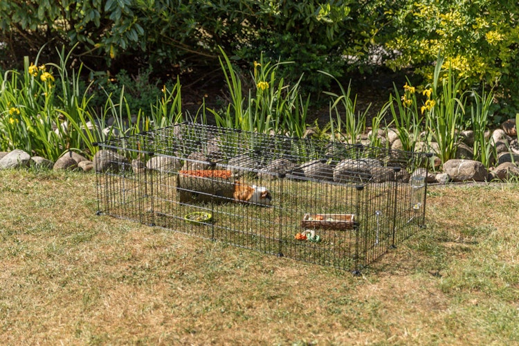 Freilaufgehege mit Abdeckung, Metall, 152 × 38 × 72 cm, schwarz