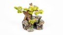 Vorschaubild aquatlantis Bonsai