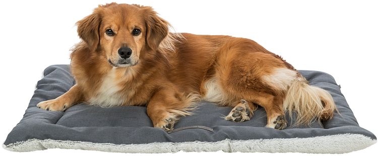 TRIXIE Liegematte Farello, Plüsch/Webstoff, weiß-grau/grau
