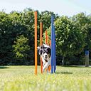 Vorschaubild TRIXIE Fun Agility Slalom, Kunststoff, ø 3 × 115 cm, 12 St., blau/orange