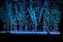 Vorschaubild HOBBY Bubble Air LED colour & moon Aquarienbeleuchtung