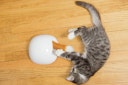 Vorschaubild FroliCat Fuchsbau Katzenspielzeug