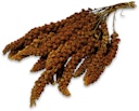 Vorschaubild JR FARM Kolbenhirse rot 500g Vogelsnack