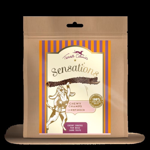 Terra Canis 250g  Chewy Champs