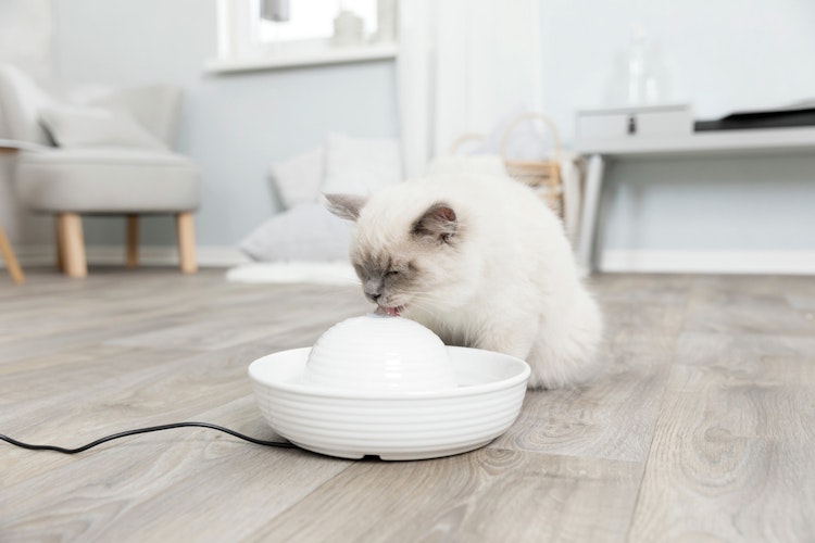 TRIXIE Vital Flow Trinkbrunnen