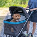 Vorschaubild TRIXIE -Buggy