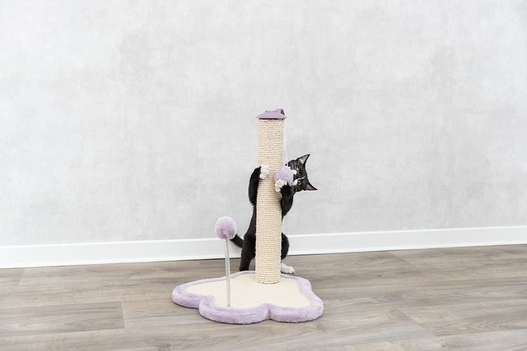 TRIXIE Kratzpfote mit Stamm, 50 cm, natur/flieder