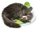 Vorschaubild catit Senses 2.0 Wellness Center Katzenspielzeug