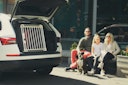 Vorschaubild 4pets Hundetransportbox ECO 1