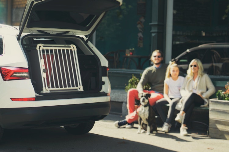4pets Hundetransportbox ECO 1