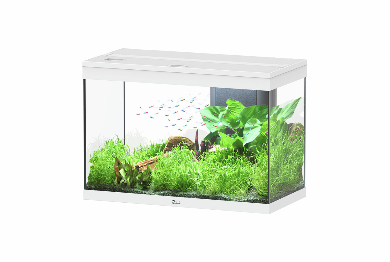 aquatlantis Splendid 145 weiß Aquarium mit Unterschrank