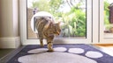 Vorschaubild SureFlap DualScan Katzenklappe mikrochipgesteuert